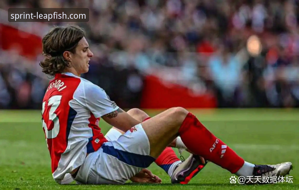 乐鱼体育官方网站入口常见问题 意大利足球的沉沦与重生:从世界杯三连缺席看现代足球的残酷竞争深度分析