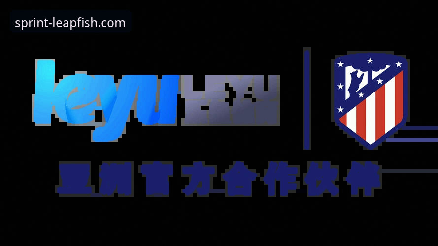 乐鱼体育官方平台技术评测与接入详解
